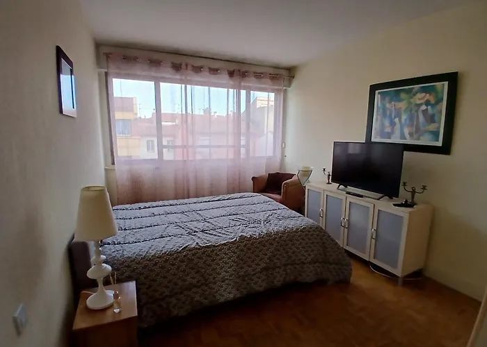 Spacieux Centre Ideal Visa Pour L Image Apartment Perpignan