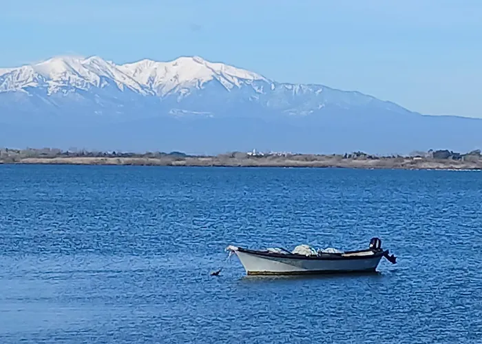 Spacieux Centre Ideal Visa Pour L Image * Perpignan